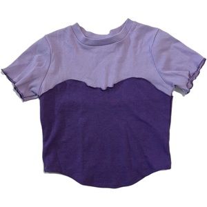 Two-tones purple crop top